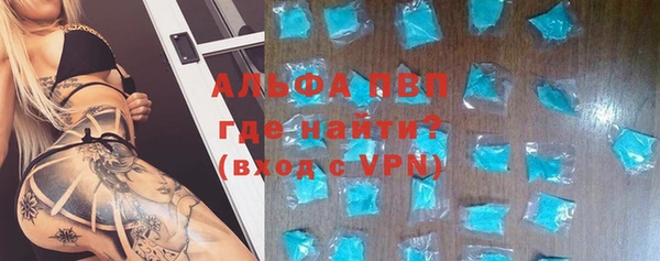сатива Алзамай